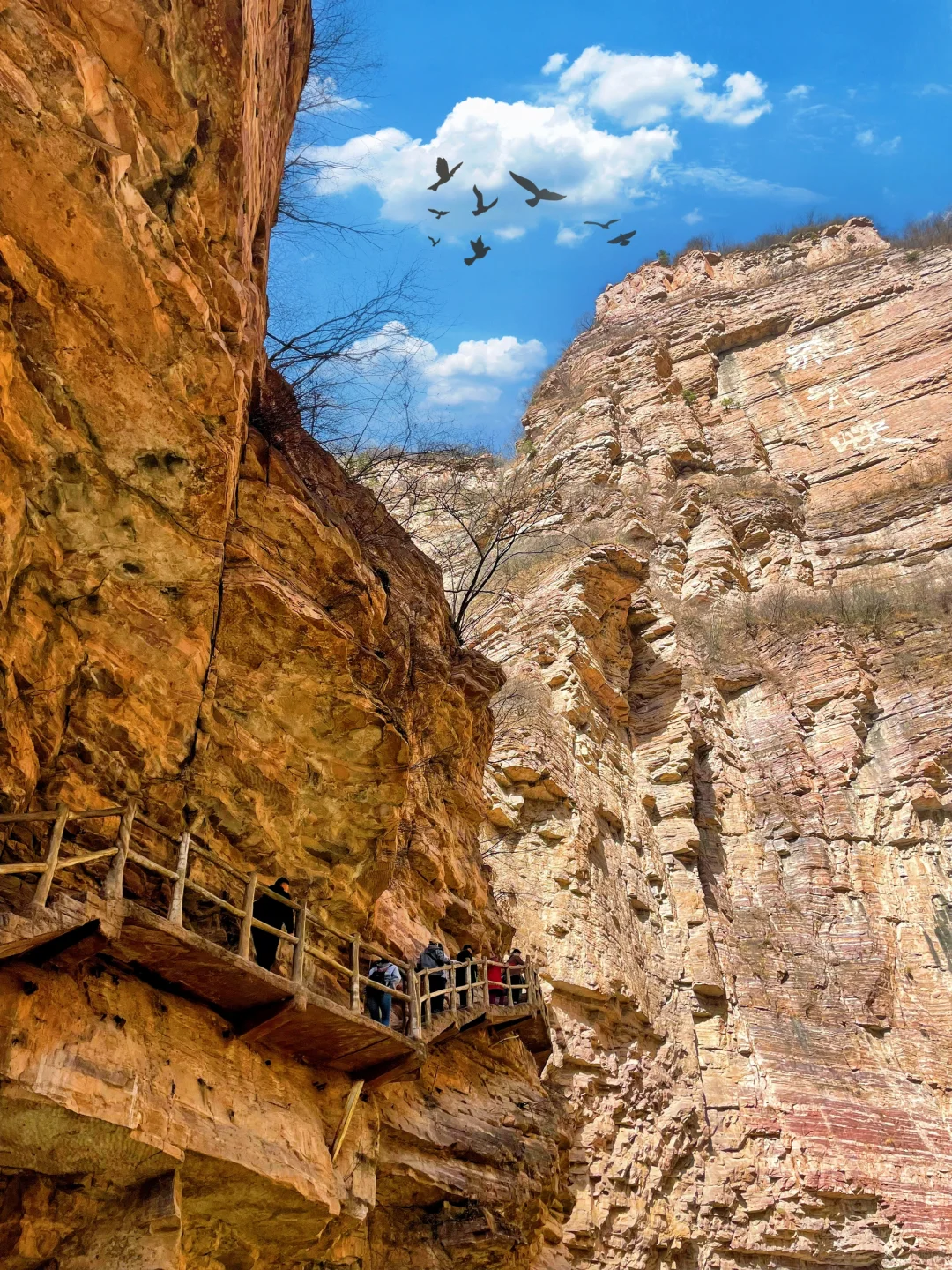 美哭了😭河南这个景区简直堪称“小九寨沟”‼️