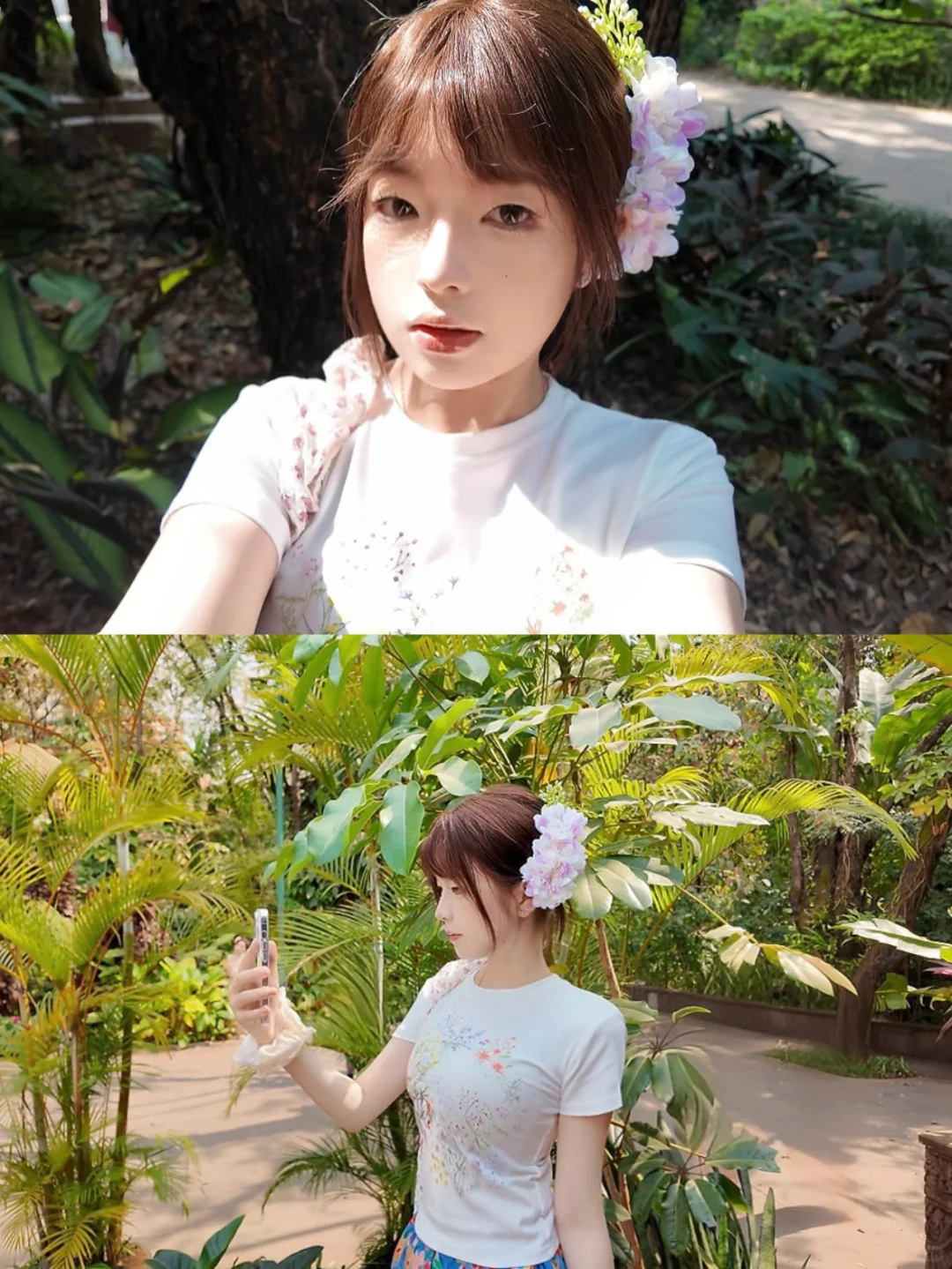 在版纳进行一些光合作用