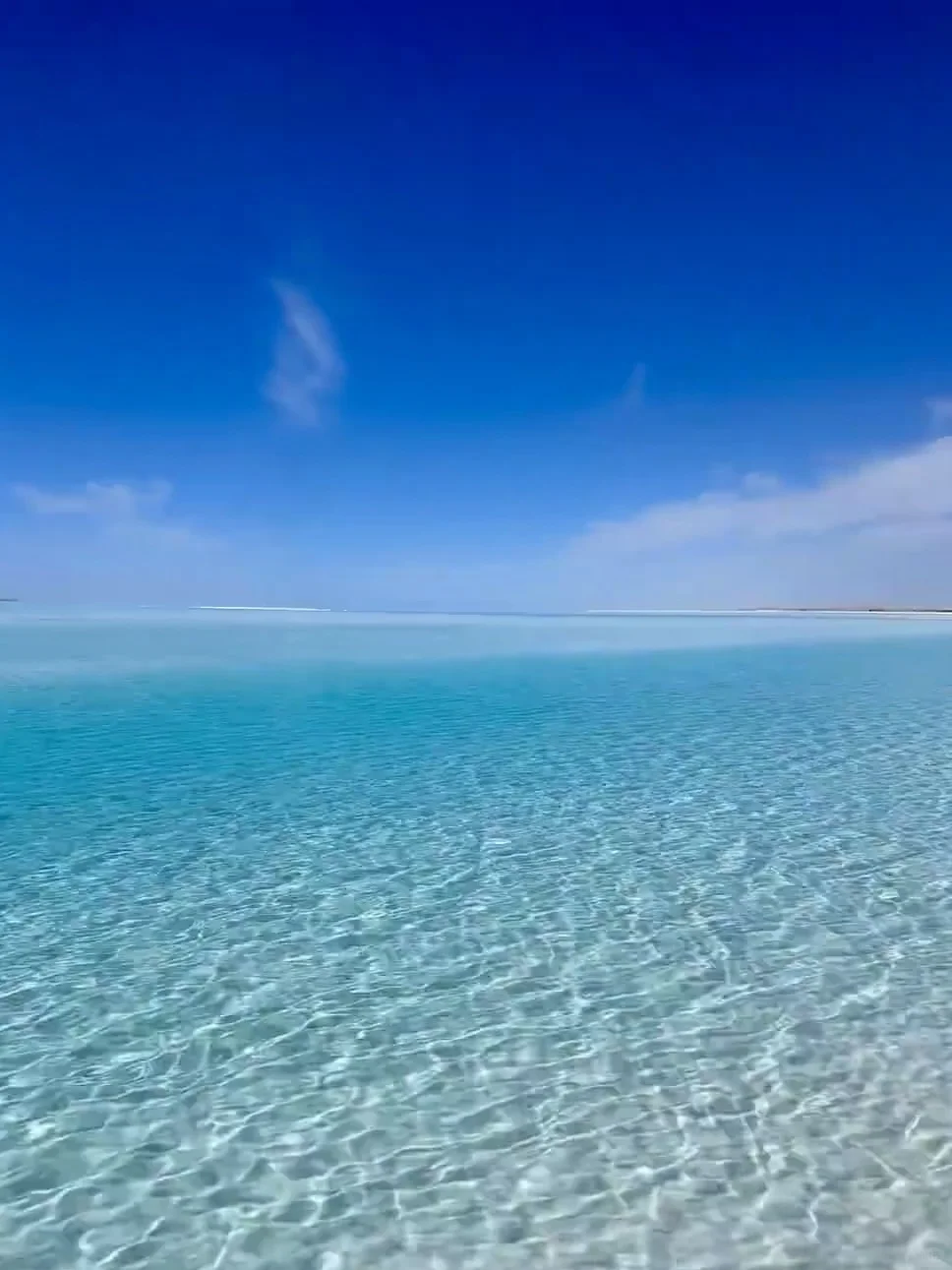 刚和姐妹西北归来🔥报对团有多重要‼️