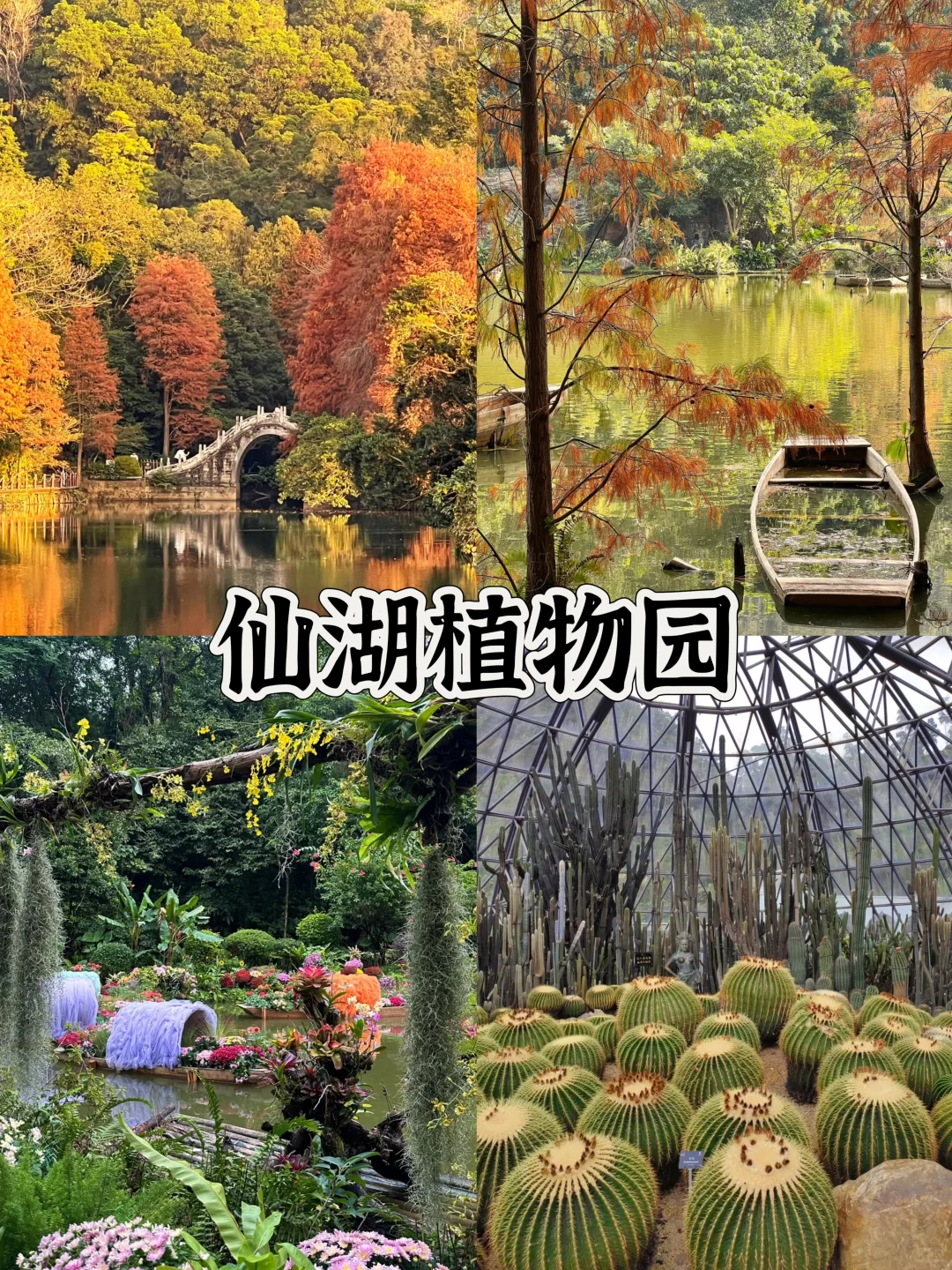 深圳地铁直达的9个免费景点全攻略(2)🔥