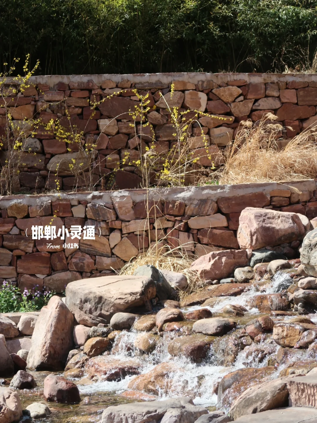 邯郸邢台周边游｜开车一小时的春游好去处🌷