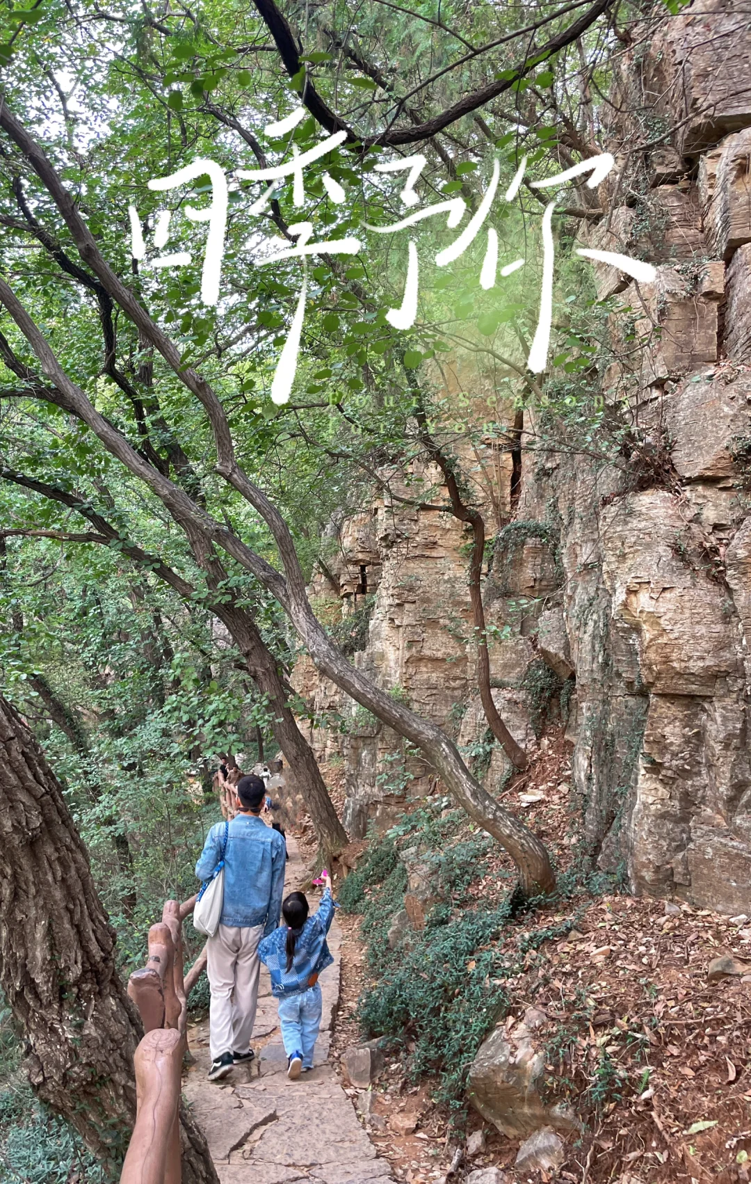 又找到了一个徐州周边一日游的好地方