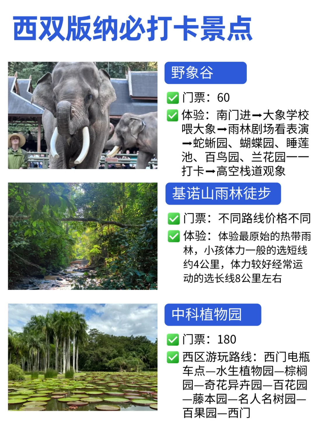 云南旅游攻略❤️打算来云南玩的姐妹快码住