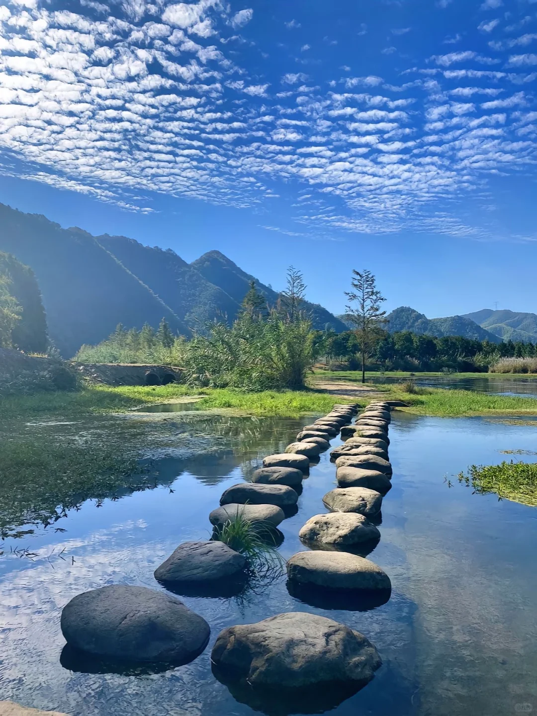 在安吉‼️朋友圈问疯了！都以为我去新疆了
