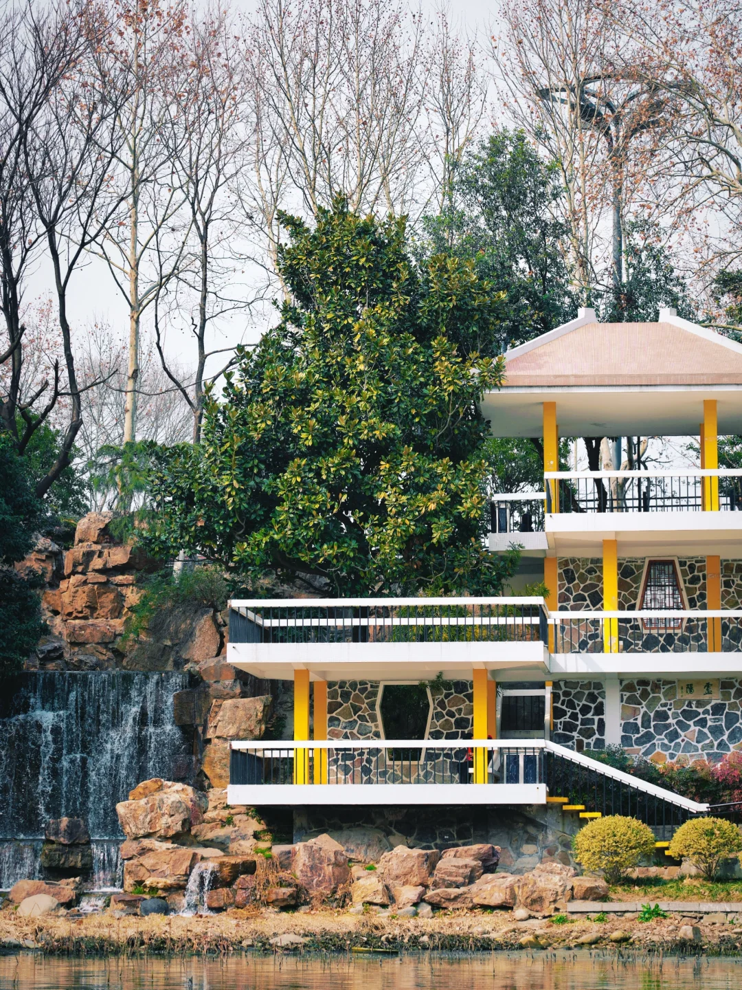 太惊艳·在合肥看见了超美的瀑布梅花雨