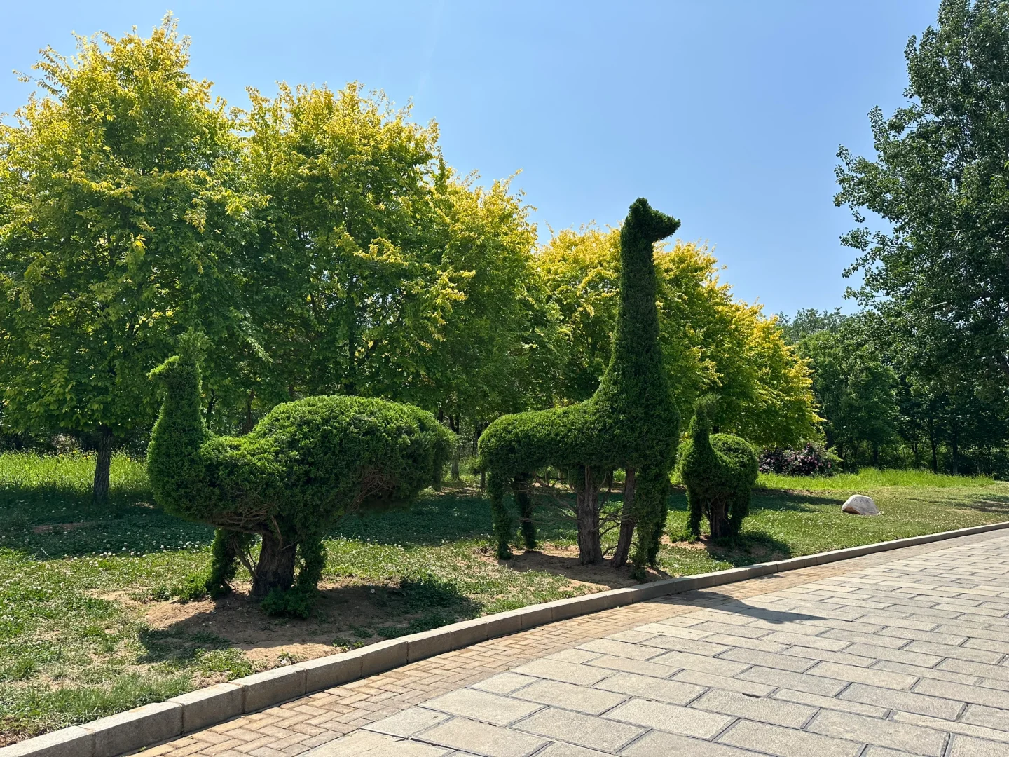 这么近那么美周末到河北