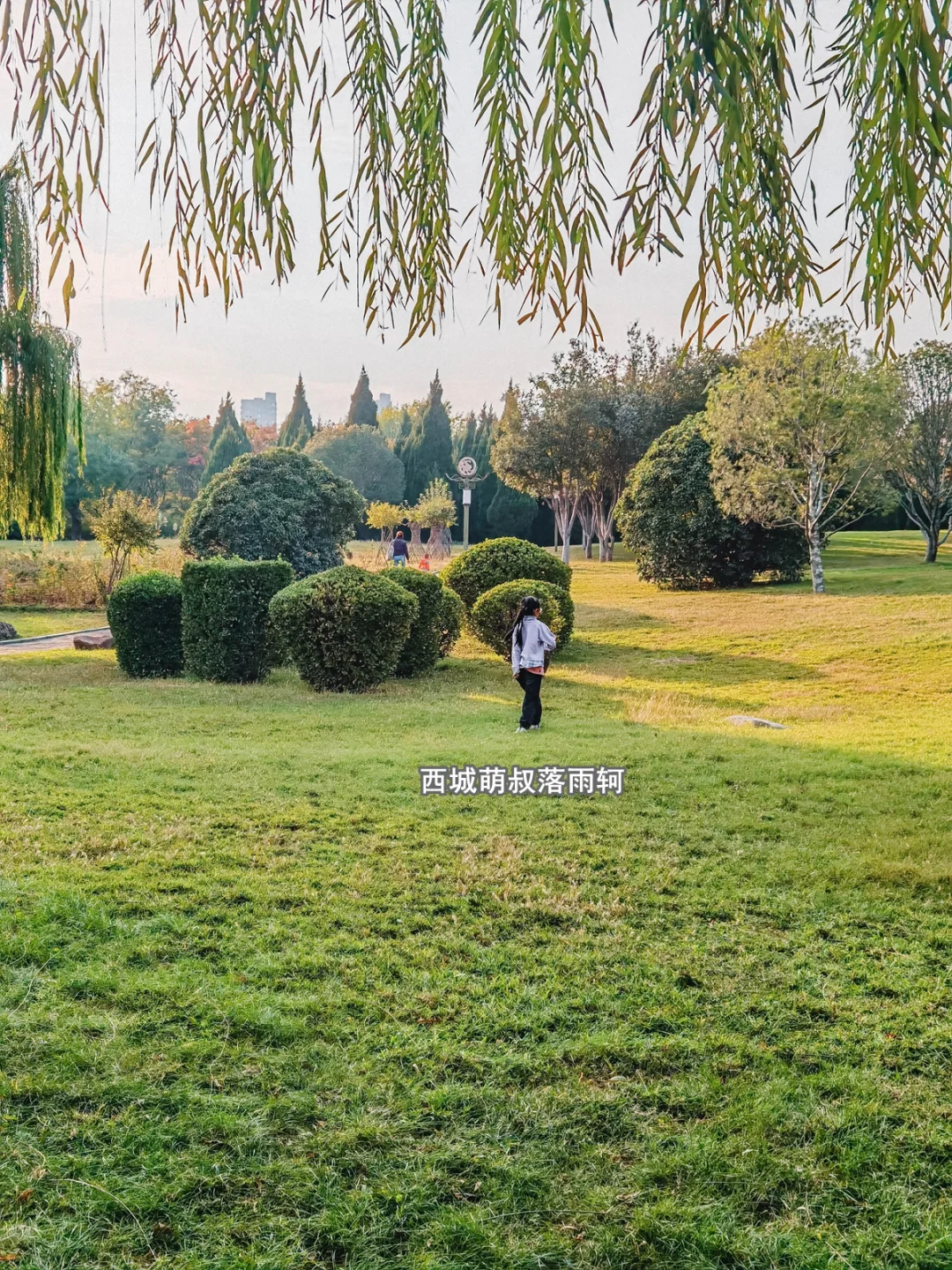 打卡邯郸免费的大公园 赵苑公园