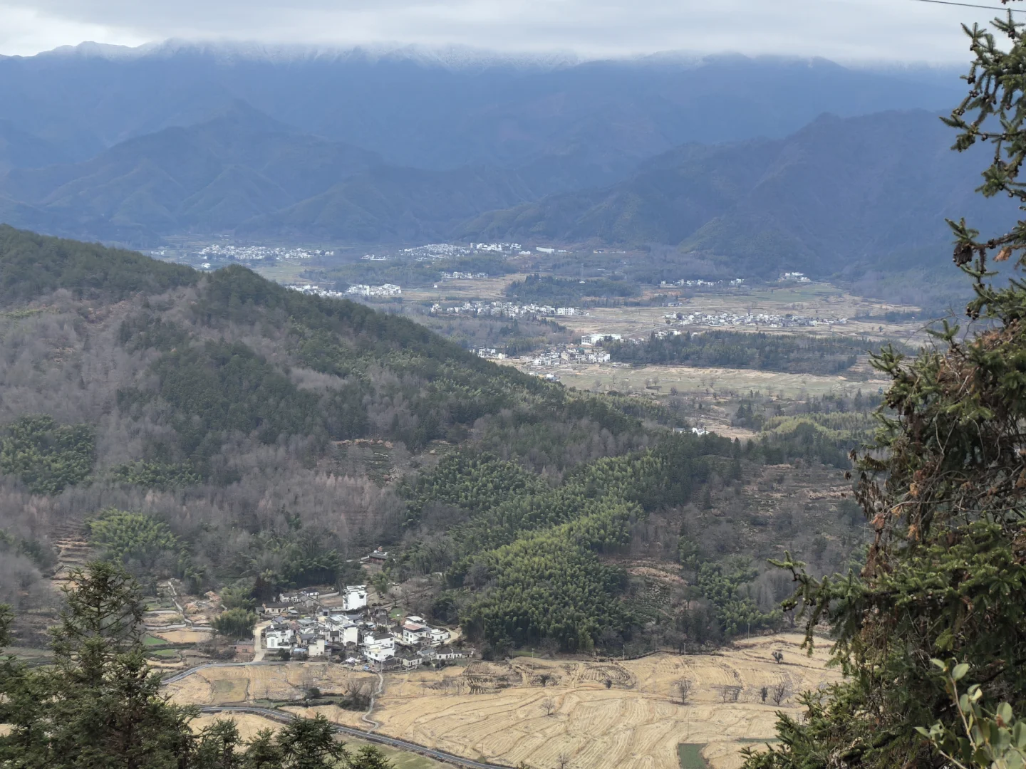 淡季游安徽黟县木坑竹海承包整座山