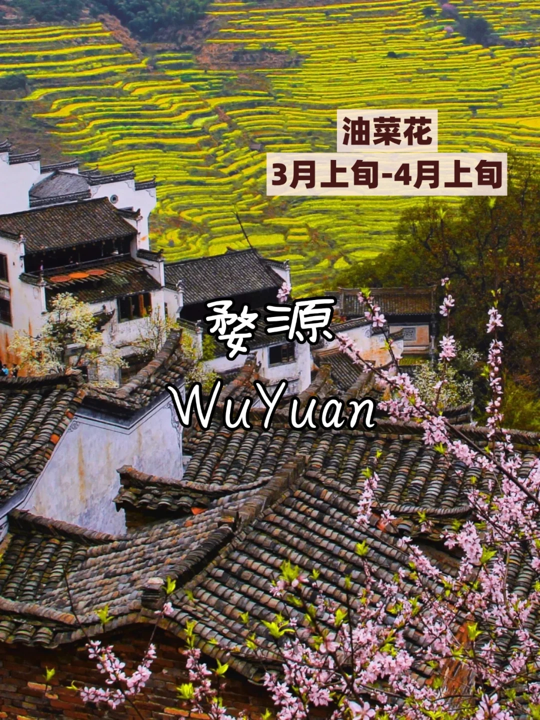 🌸3 - 5 月必打卡的看花城市，美到失语！