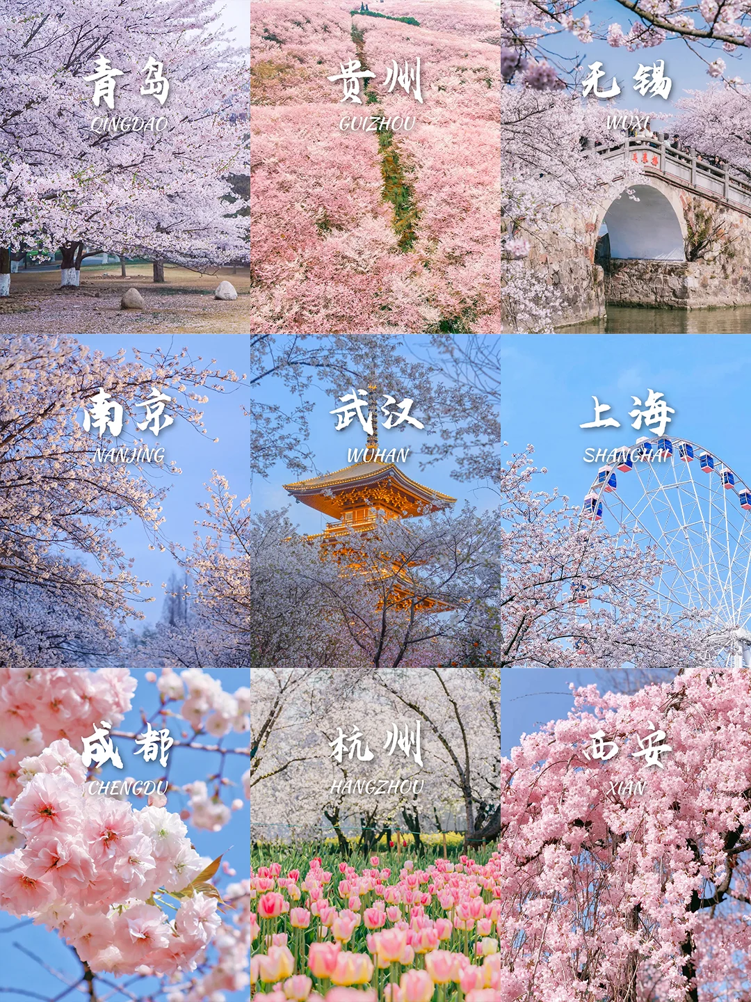 3-5月9个绝美樱花胜地‼️写给拍樱花的姐妹