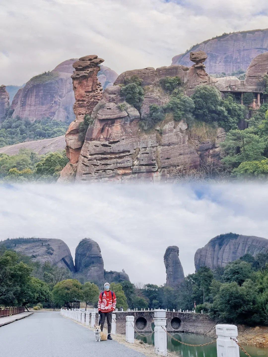 黄山算什么？带狗解锁100元承包整片丹霞！