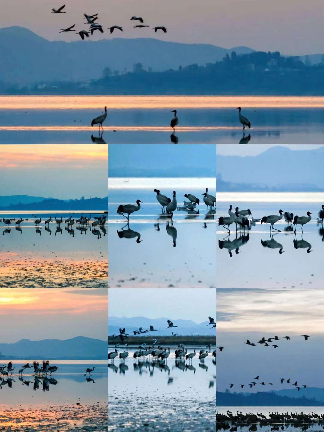 🌈贵州毕节| 2-4 月来真香，邂逅花海之旅！