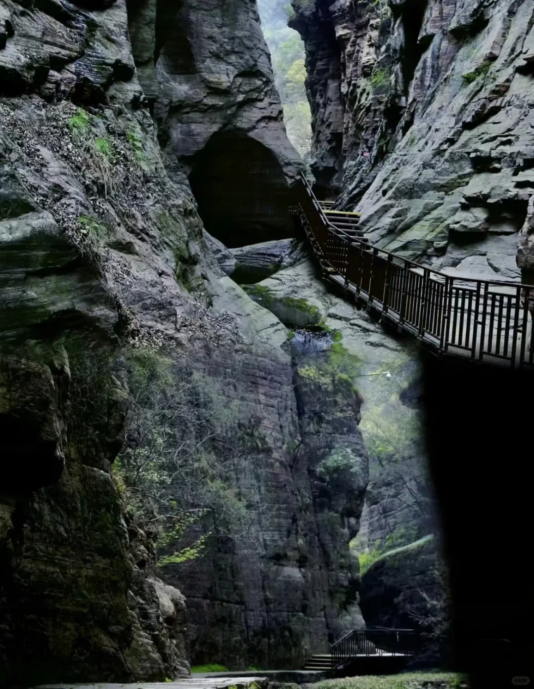 我一个人跟团去了中国唯一破产的5A级景区