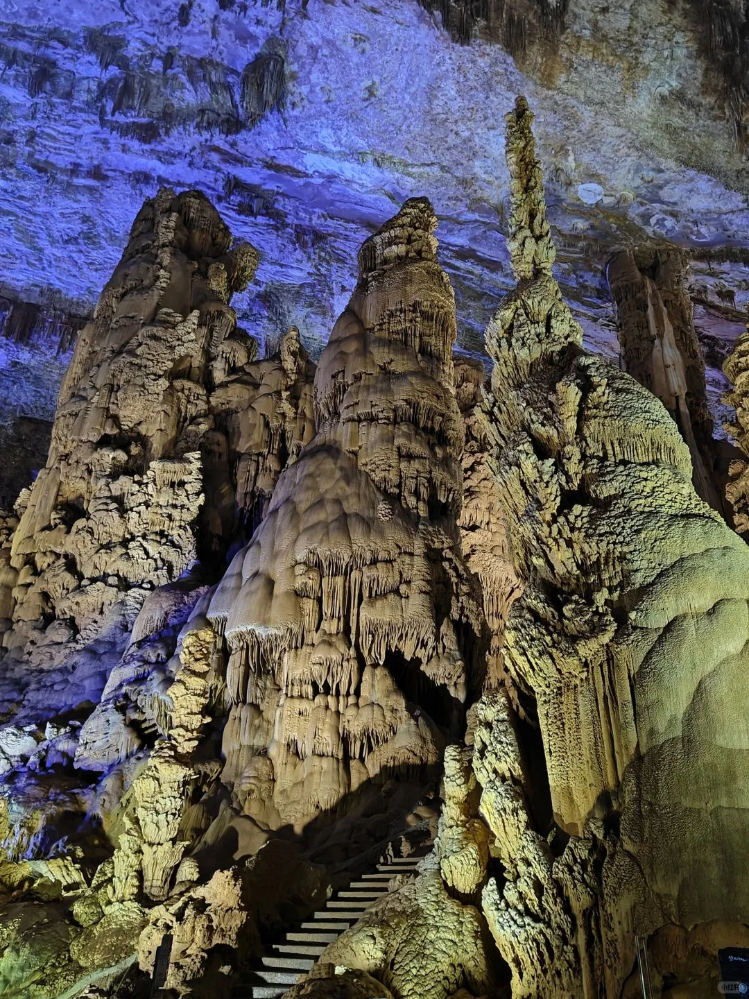 被《国家地理》评为中国最美杜鹃花海的现状