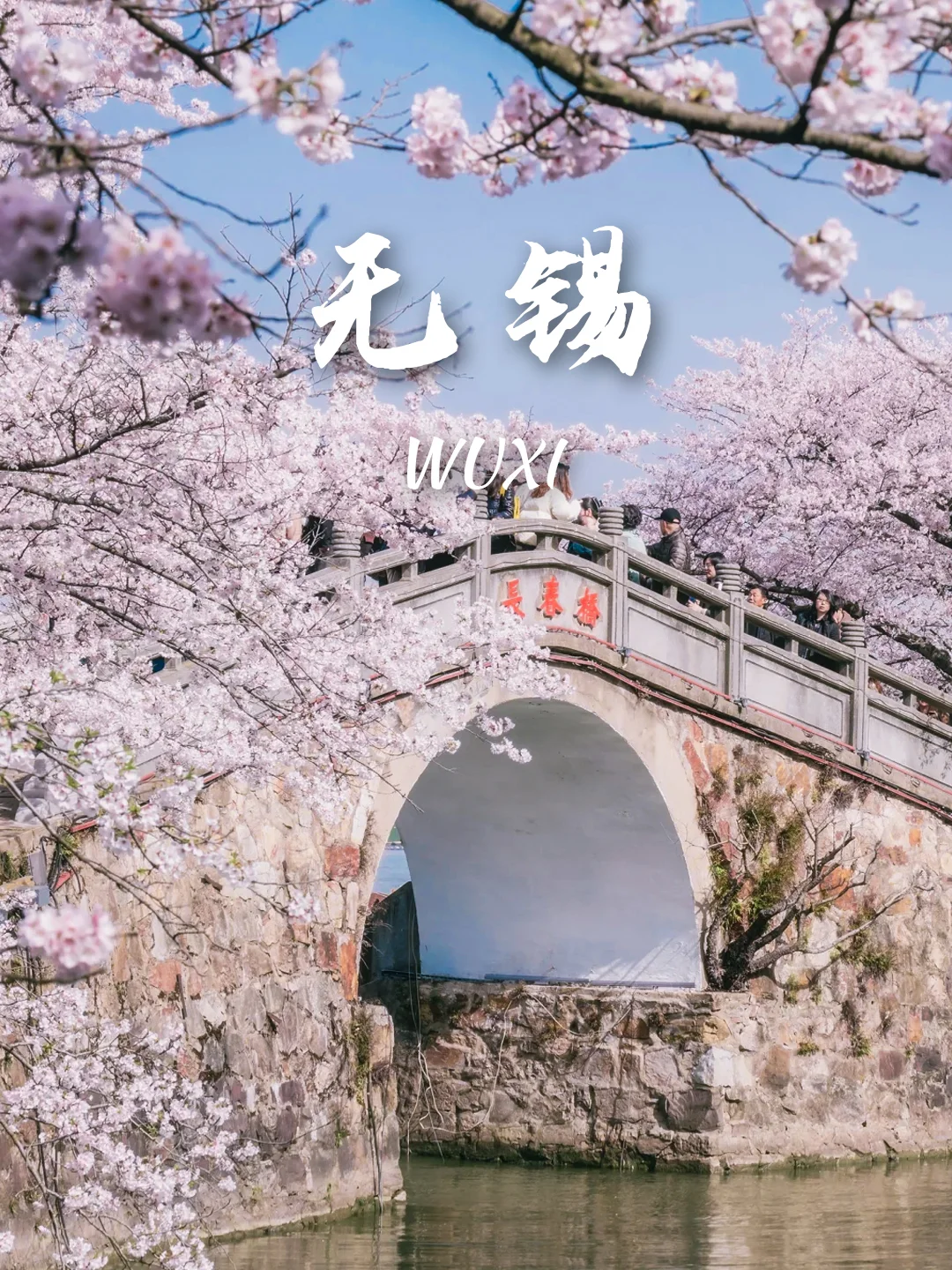 3-5月9个绝美樱花胜地‼️写给拍樱花的姐妹