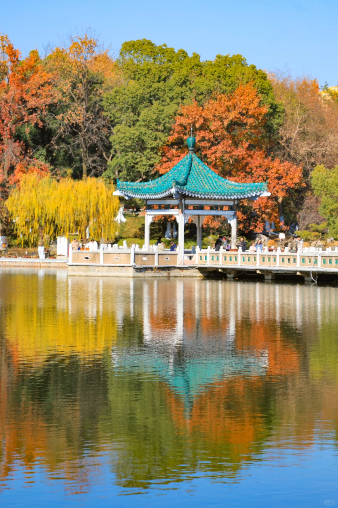 终于有人把东湖怎么玩说清楚了❗️干货不踩雷