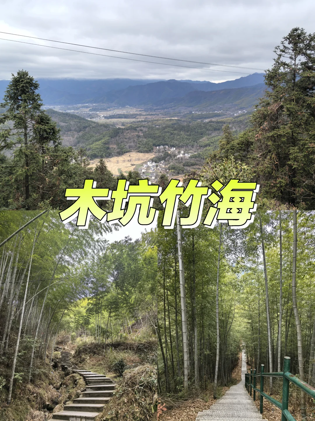 淡季游安徽黟县木坑竹海承包整座山