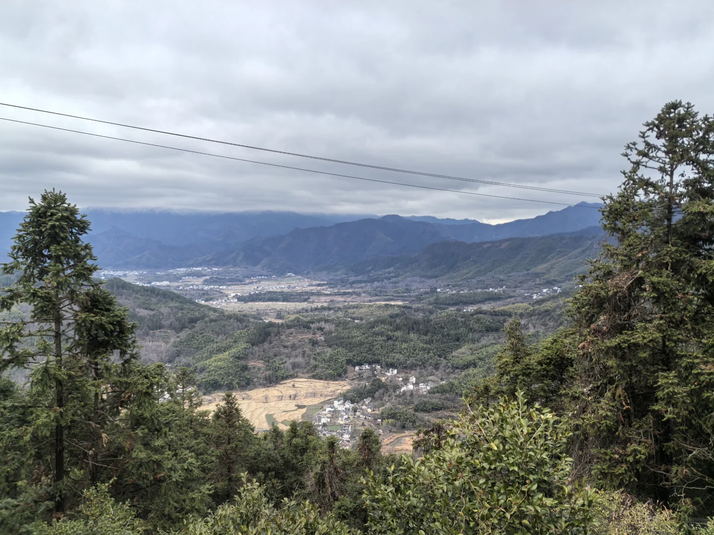 淡季游安徽黟县木坑竹海承包整座山