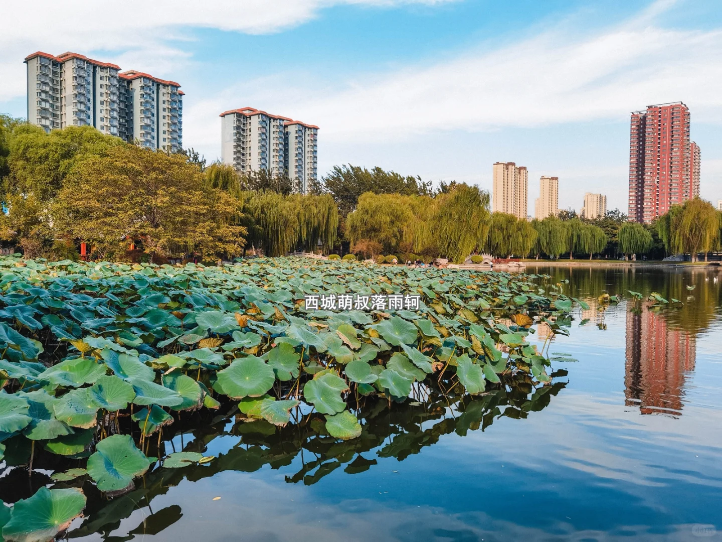 打卡邯郸免费的大公园 赵苑公园