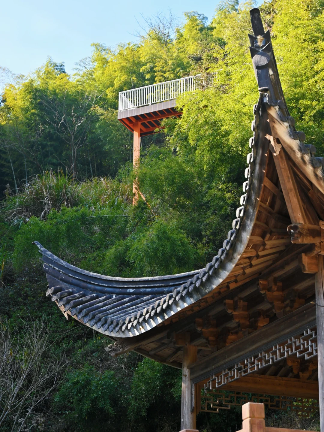 瑞士乡村？这是宁波1h直达的免费小众景点呀