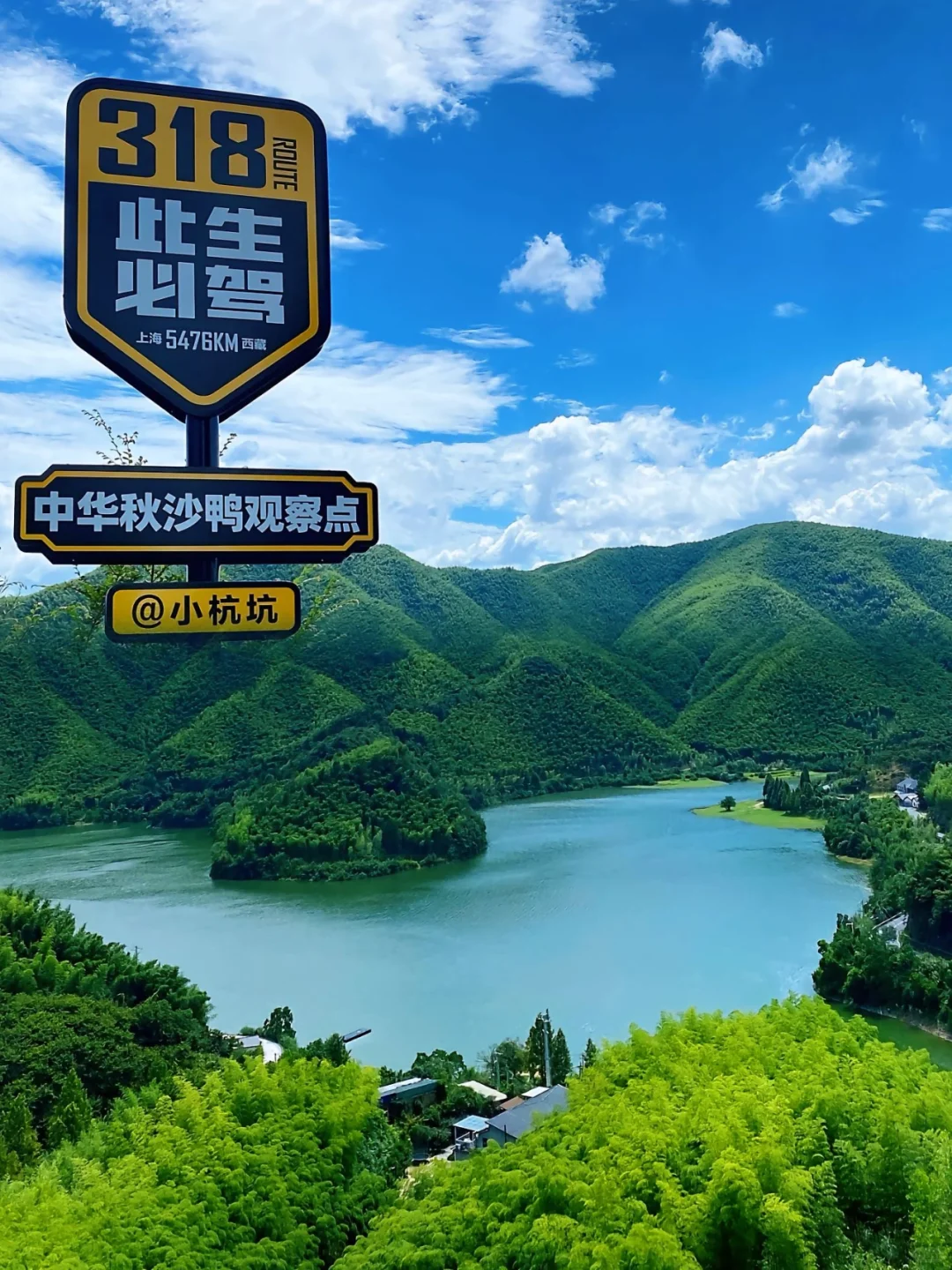 在安吉‼️朋友圈问疯了！都以为我去新疆了