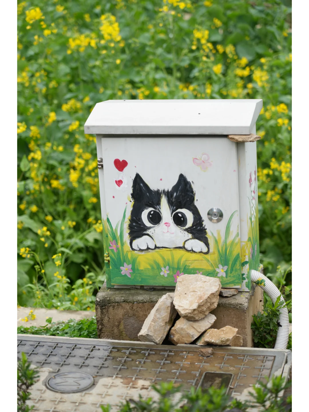 春日盛景，醉美兴义万峰林油菜花海