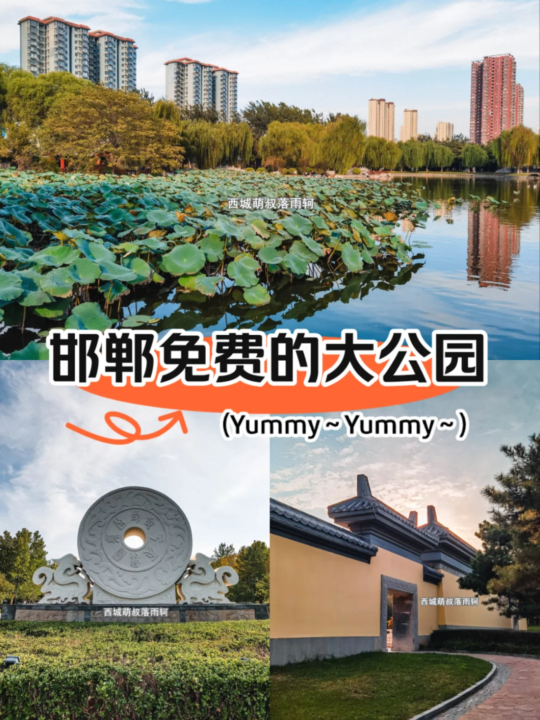 打卡邯郸免费的大公园 赵苑公园