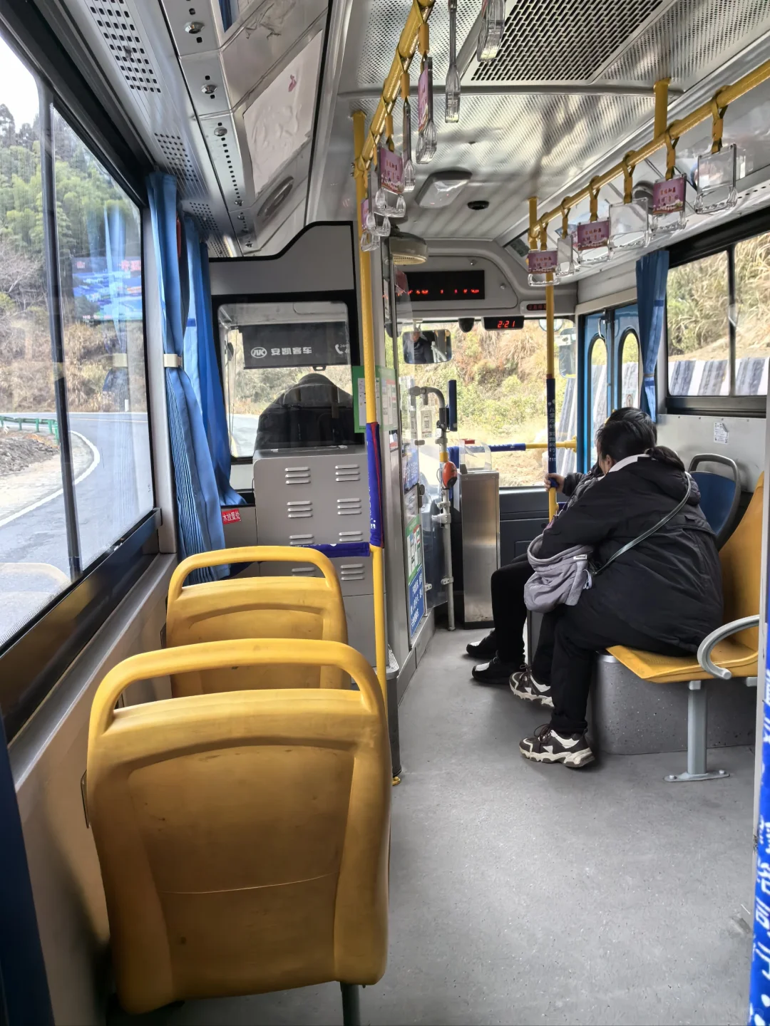 淡季游安徽黟县木坑竹海承包整座山