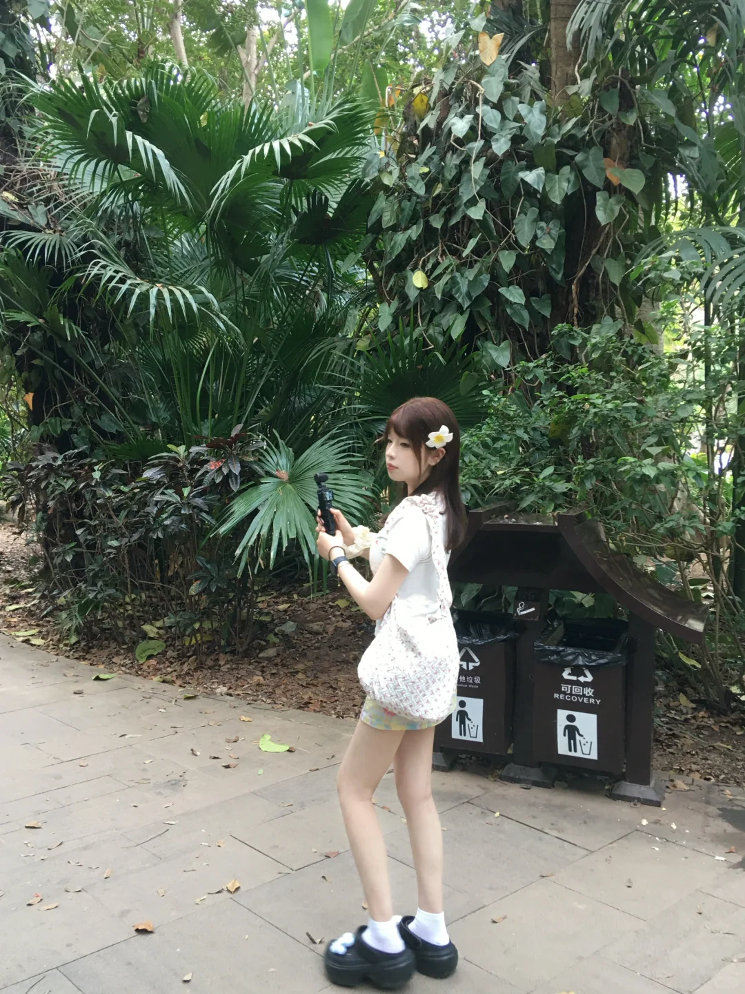 在版纳进行一些光合作用