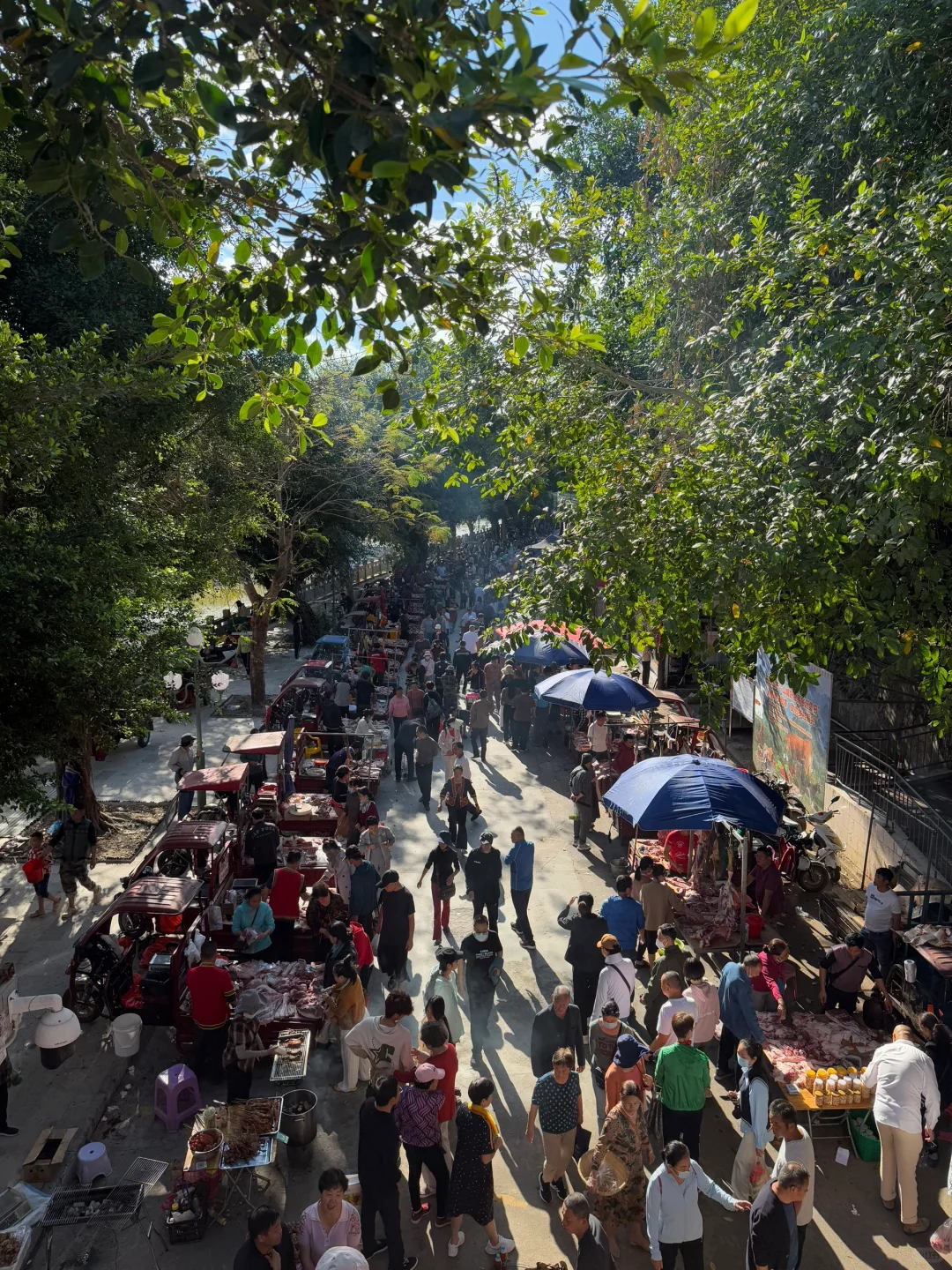 海南中线遛娃：琼中+五指山