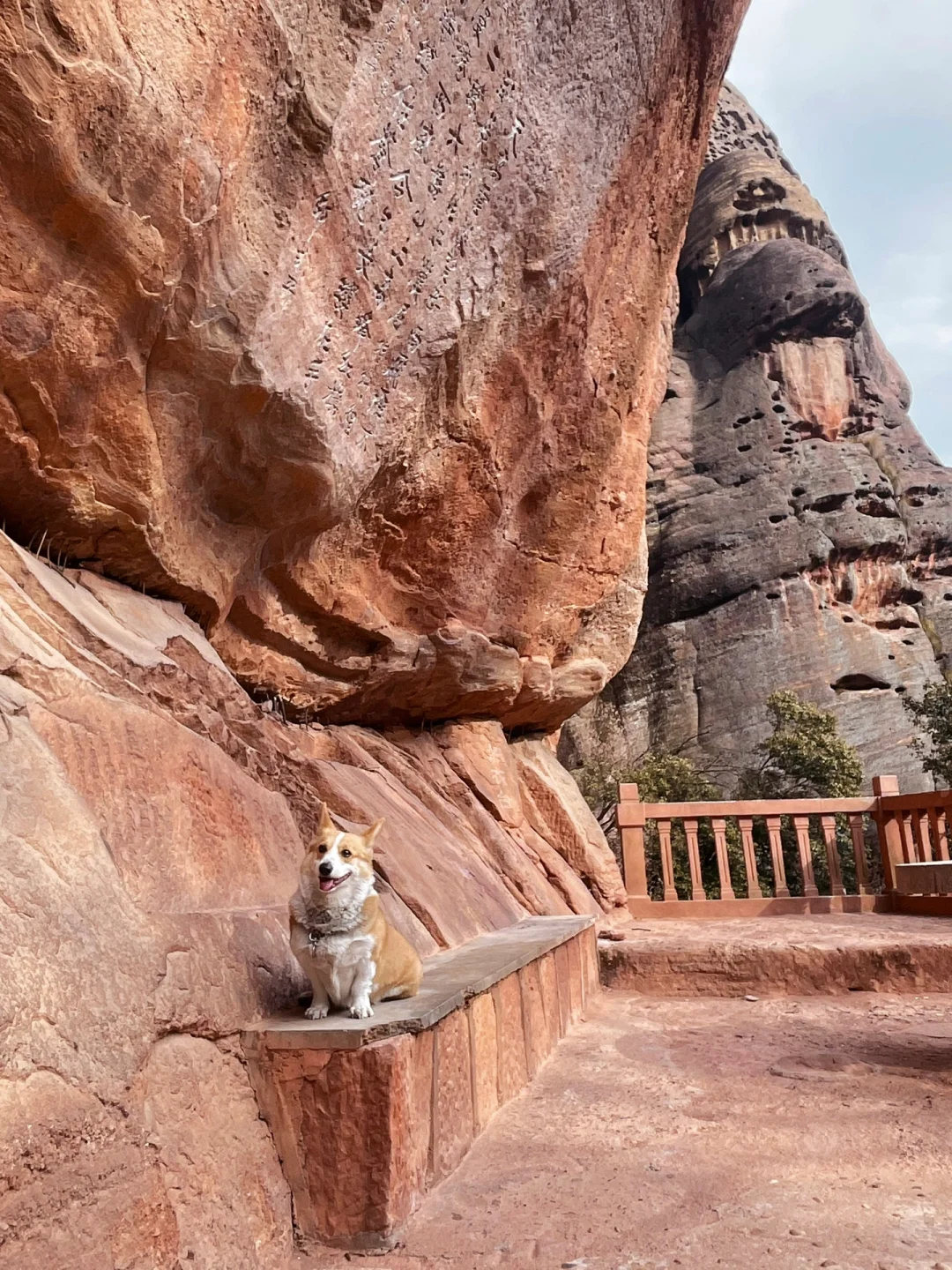 黄山算什么？带狗解锁100元承包整片丹霞！