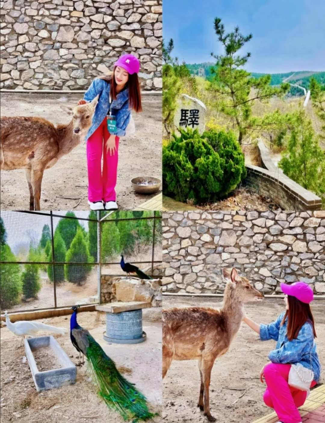 邯郸到济南石崮寨一日游,邯郸周边一日游