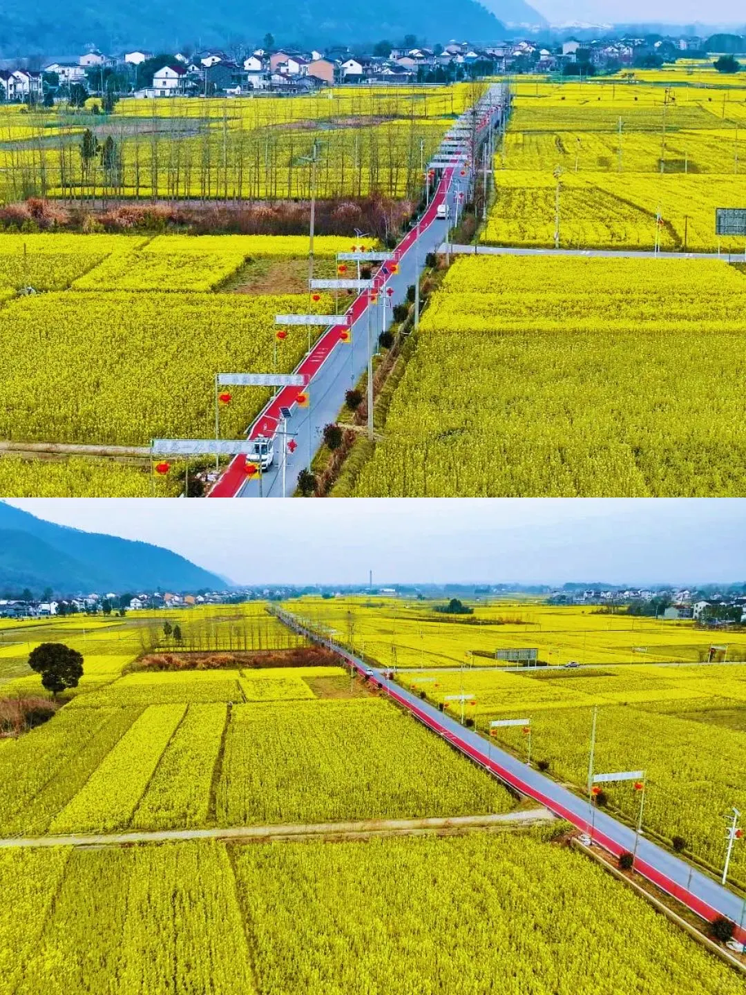 接下来，开始期待泾县的春季花海~