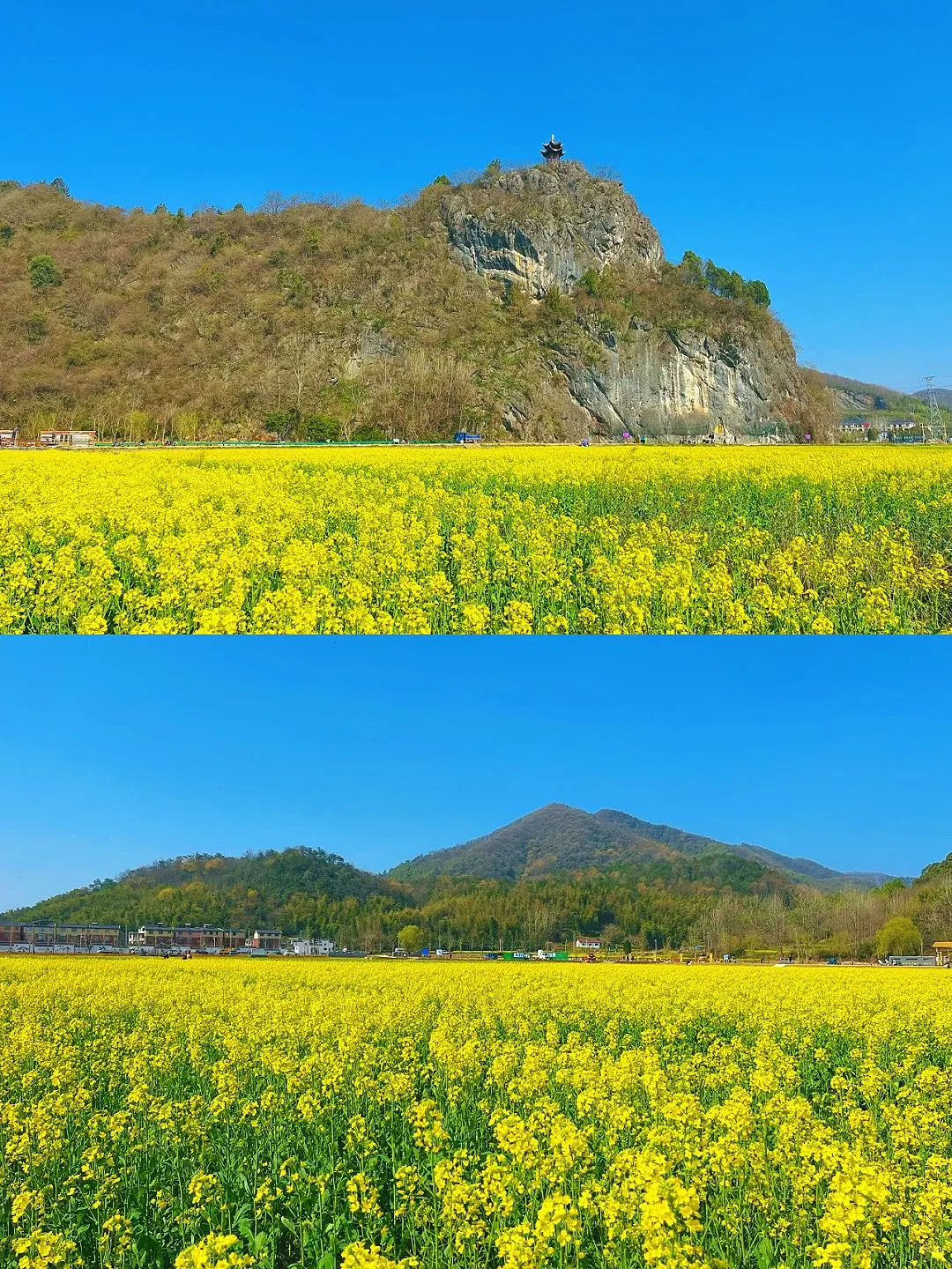 接下来，开始期待泾县的春季花海~