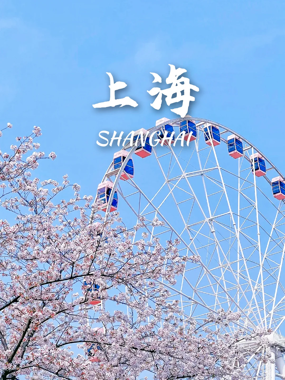 3-5月9个绝美樱花胜地‼️写给拍樱花的姐妹