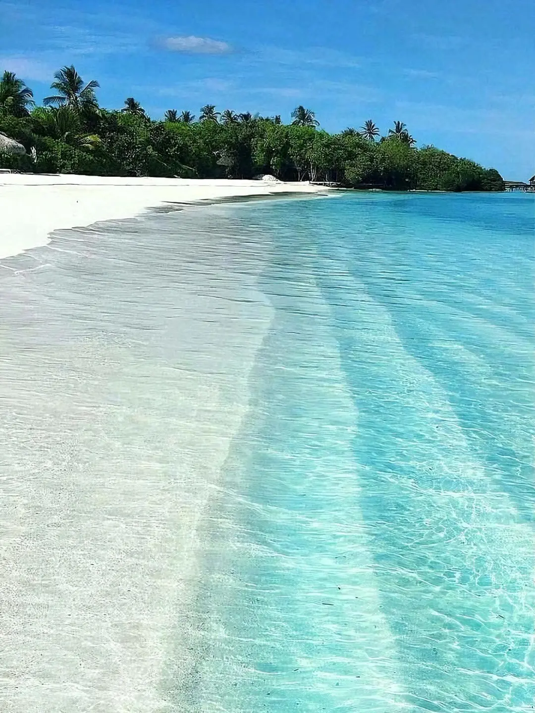 接下来的热浪岛🇲🇾马来海岛已是next level