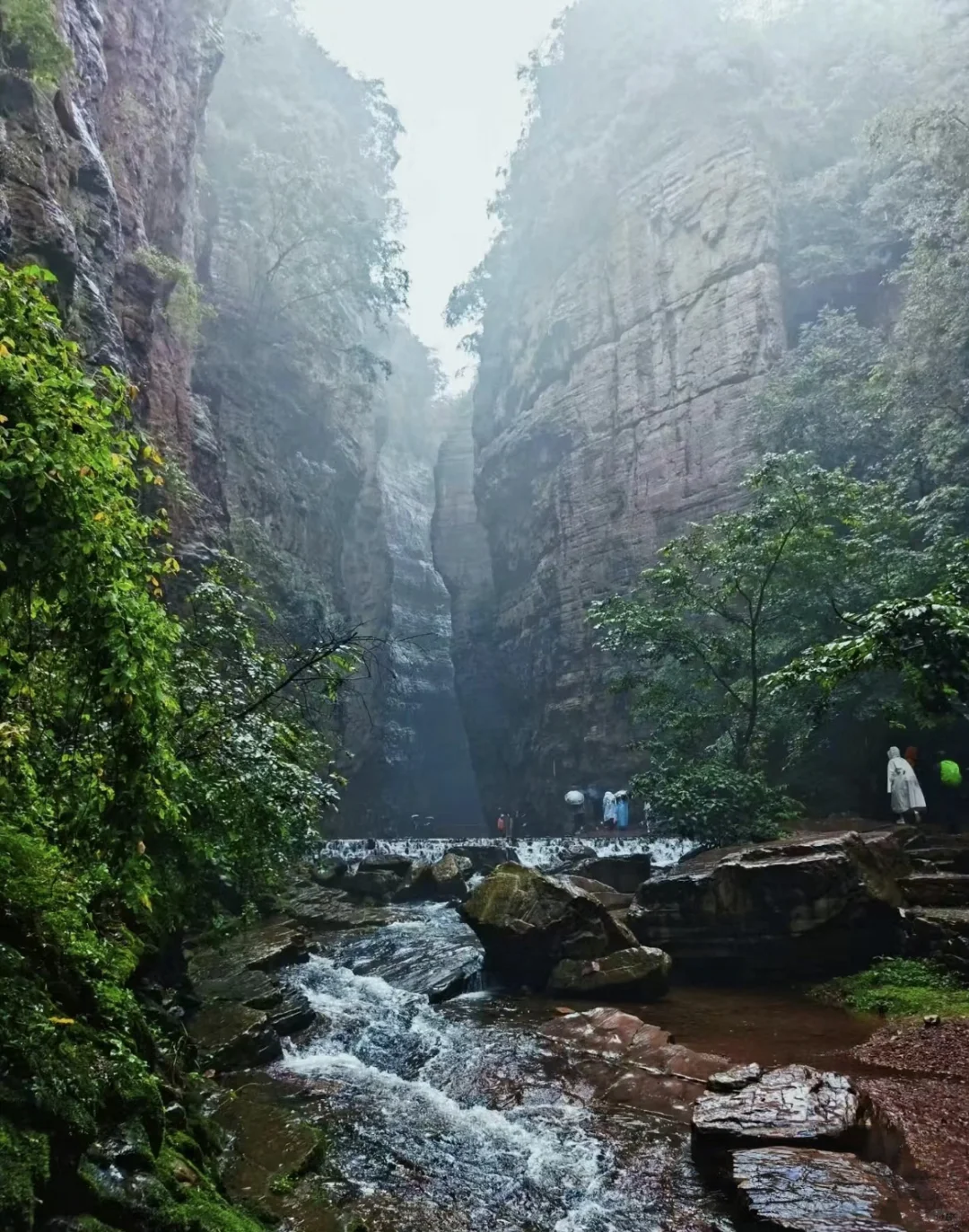 我一个人跟团去了中国唯一破产的5A级景区