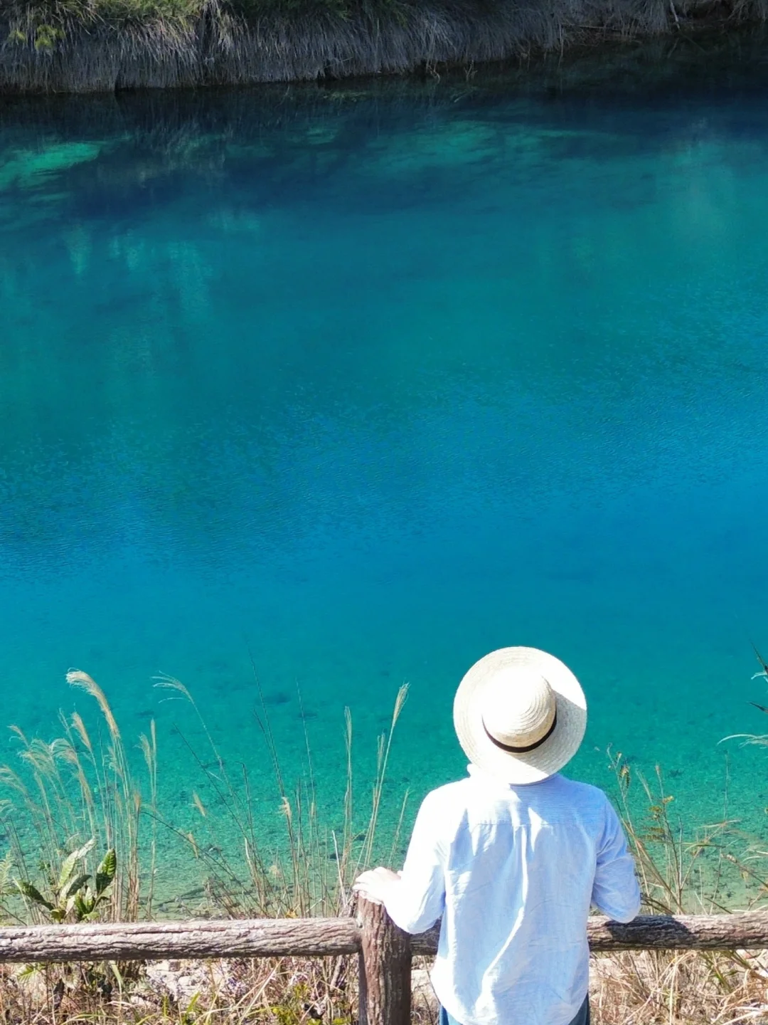 厦门版“九寨沟”,真的是眼睛的天堂!