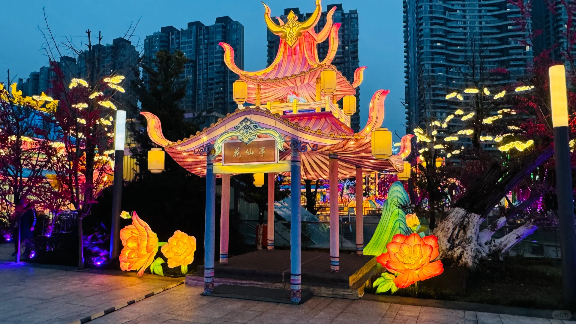 打卡成都熊猫灯会