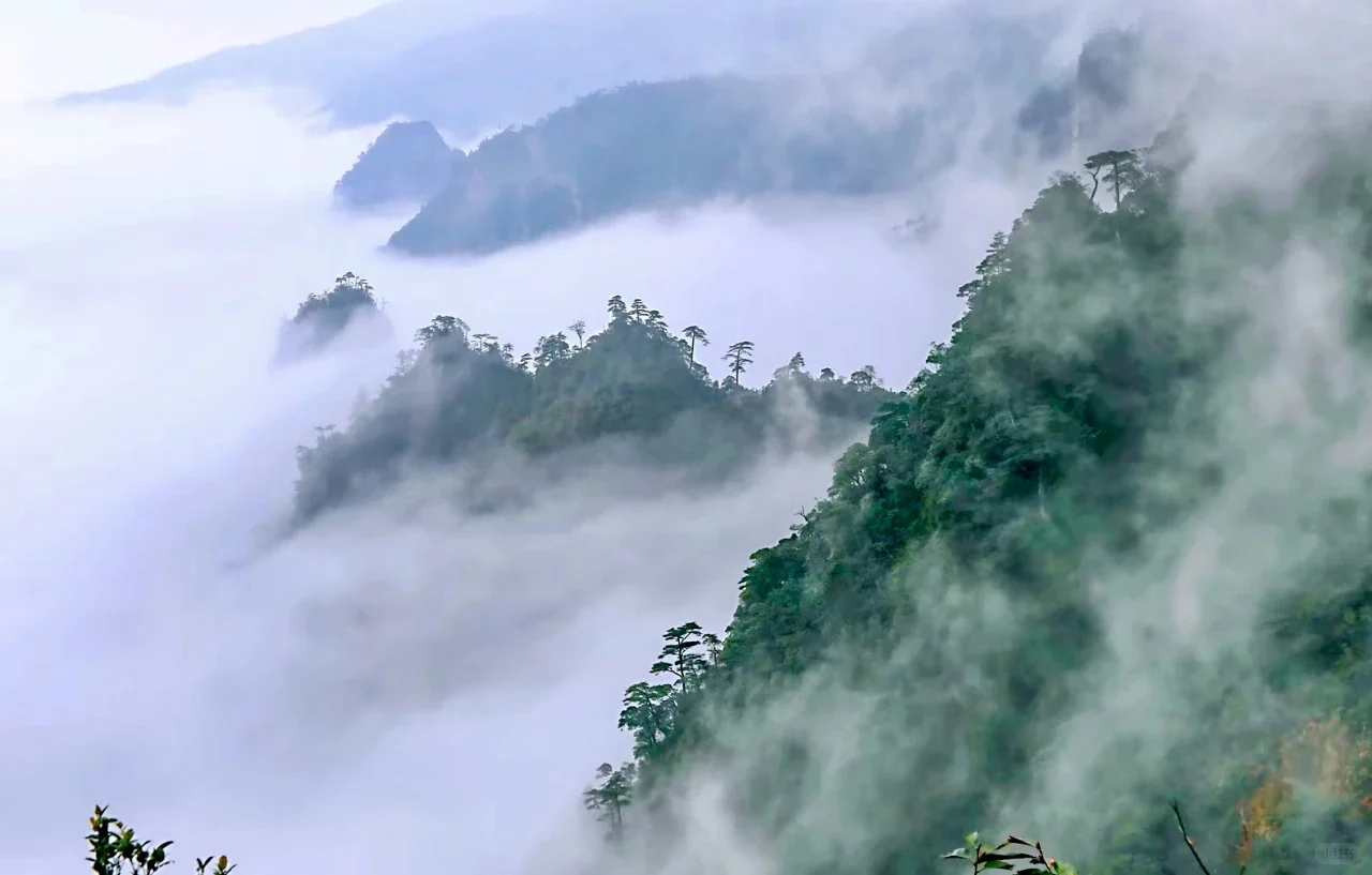 莽山五指峰—自驾攻略
