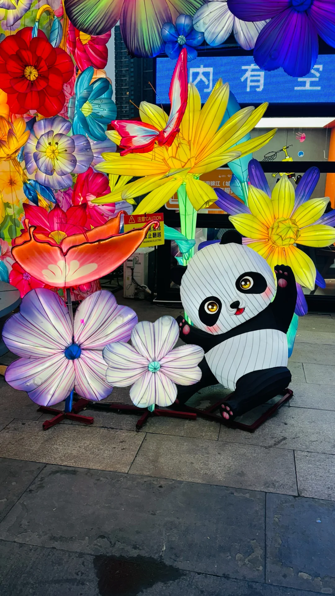 打卡成都熊猫灯会