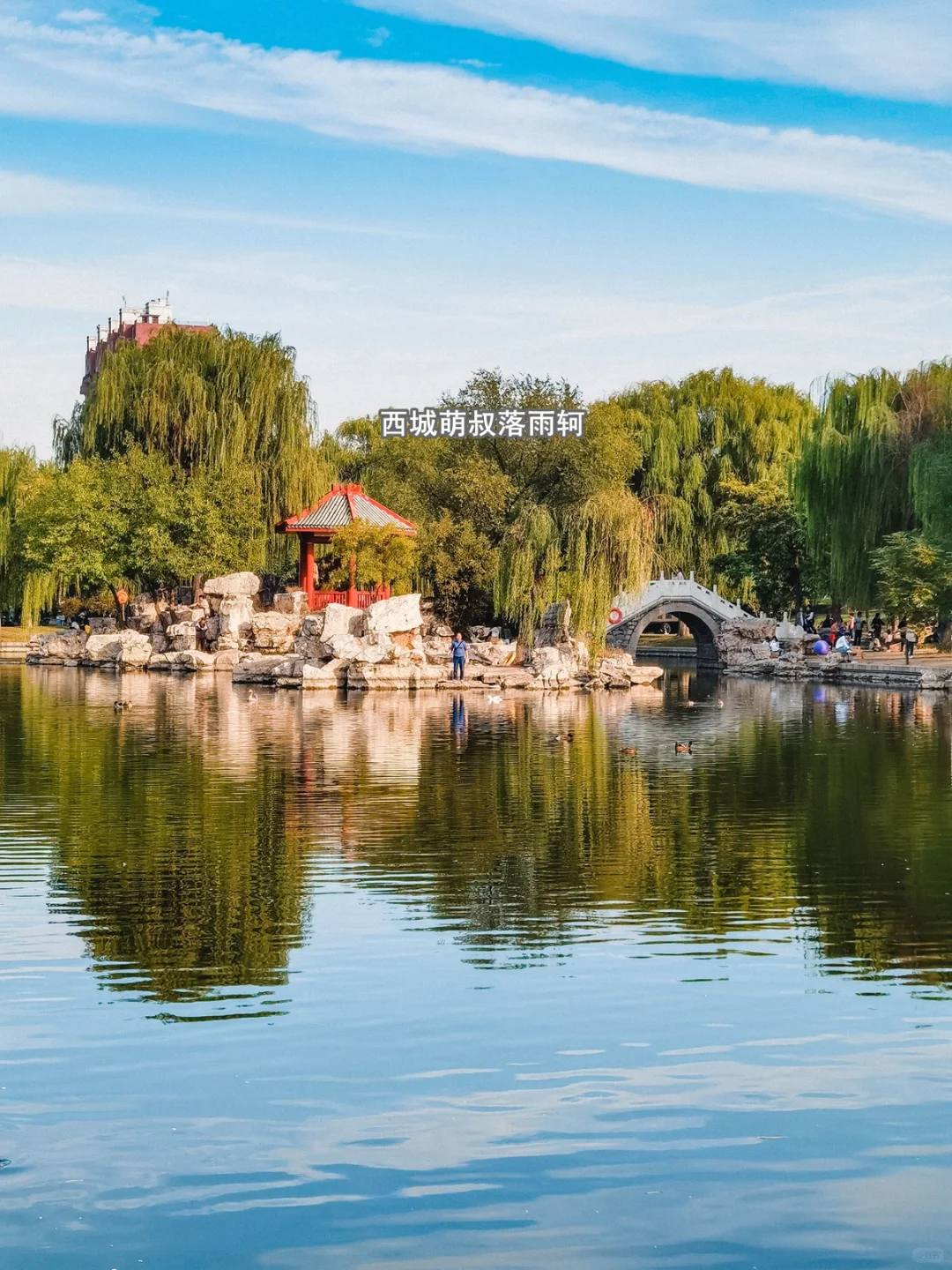 打卡邯郸免费的大公园 赵苑公园