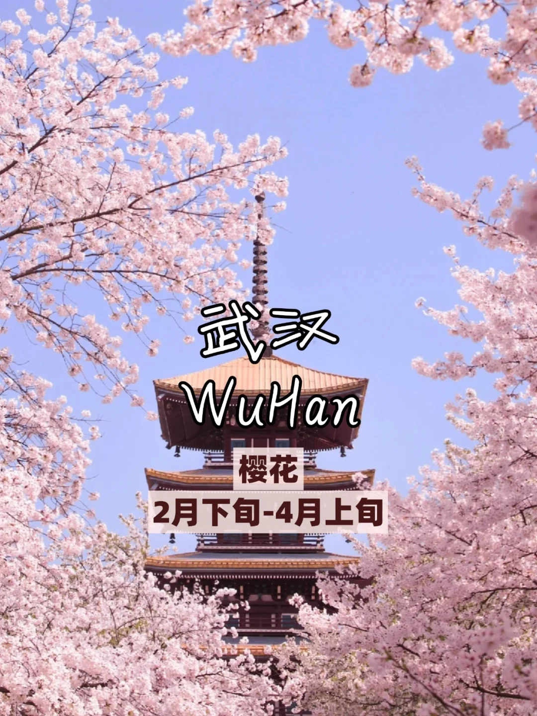 🌸3 - 5 月必打卡的看花城市，美到失语！