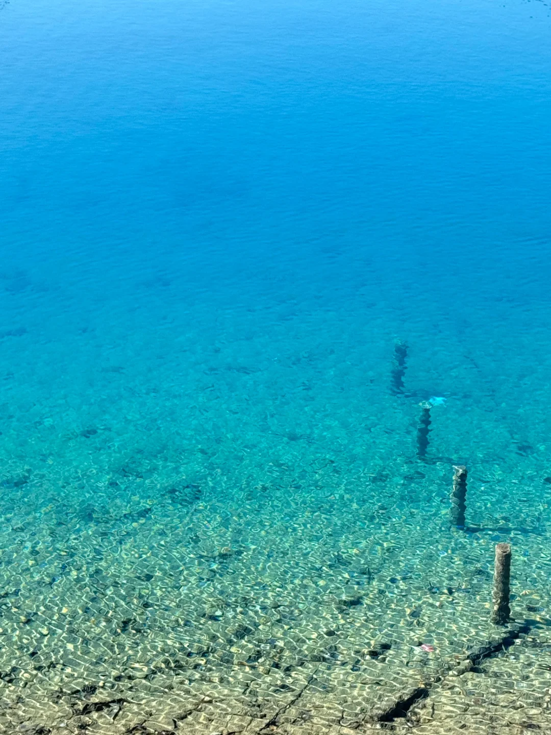 厦门版“九寨沟”,真的是眼睛的天堂!