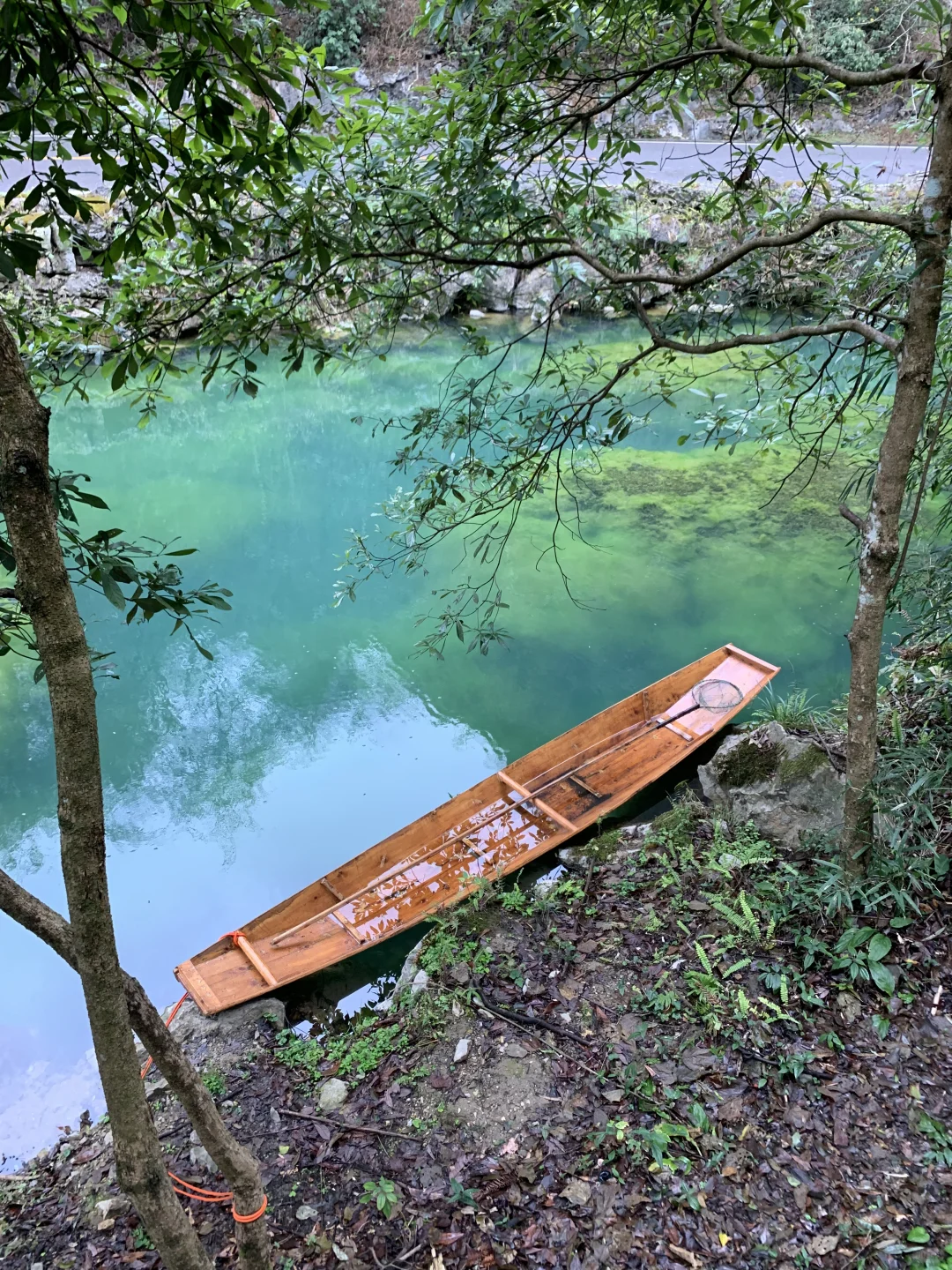 荔波小七孔2.21实况 | 阴天也完全不用担心