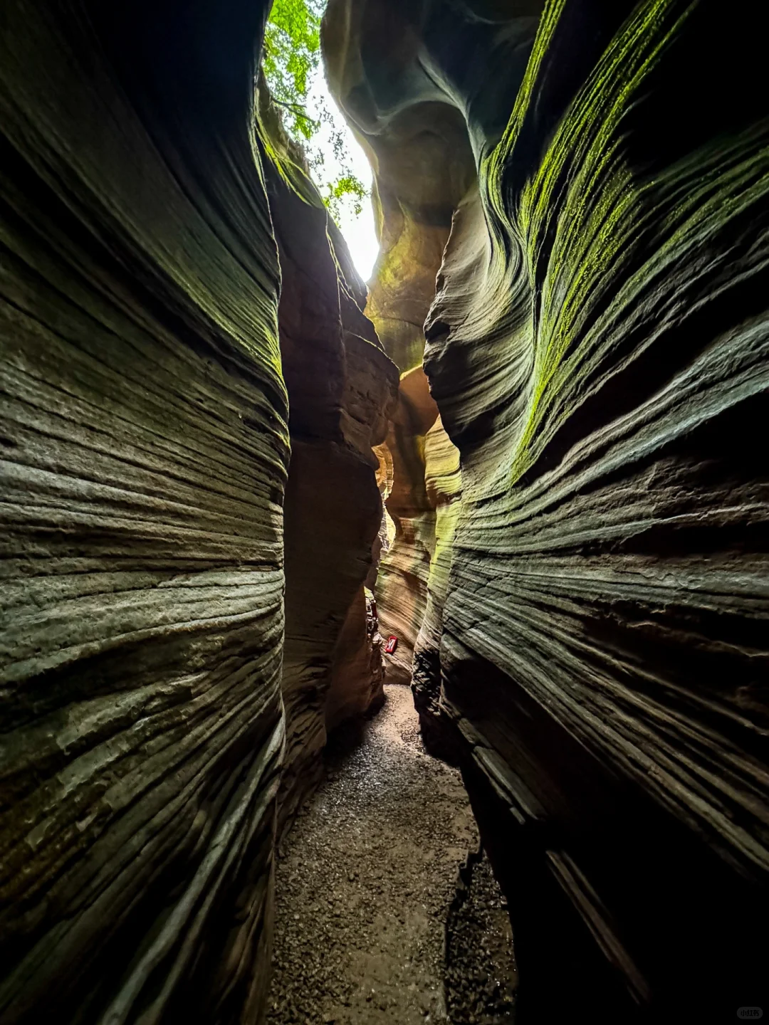 被《国家地理》评为中国最美峡谷有多绝!!