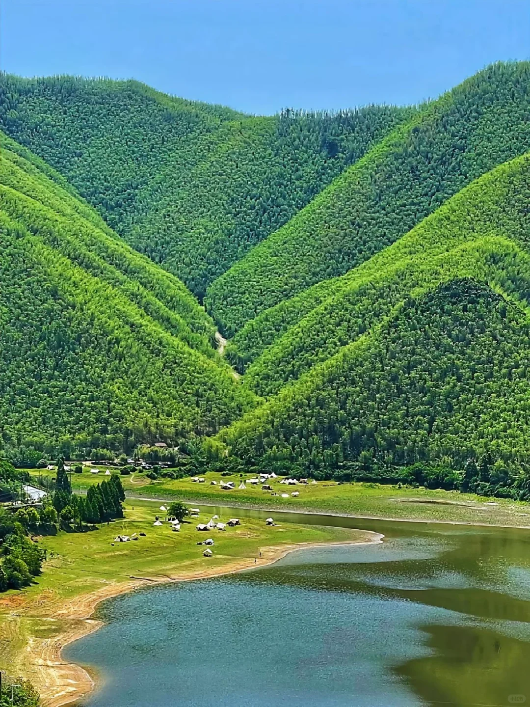 在安吉‼️朋友圈问疯了！都以为我去新疆了