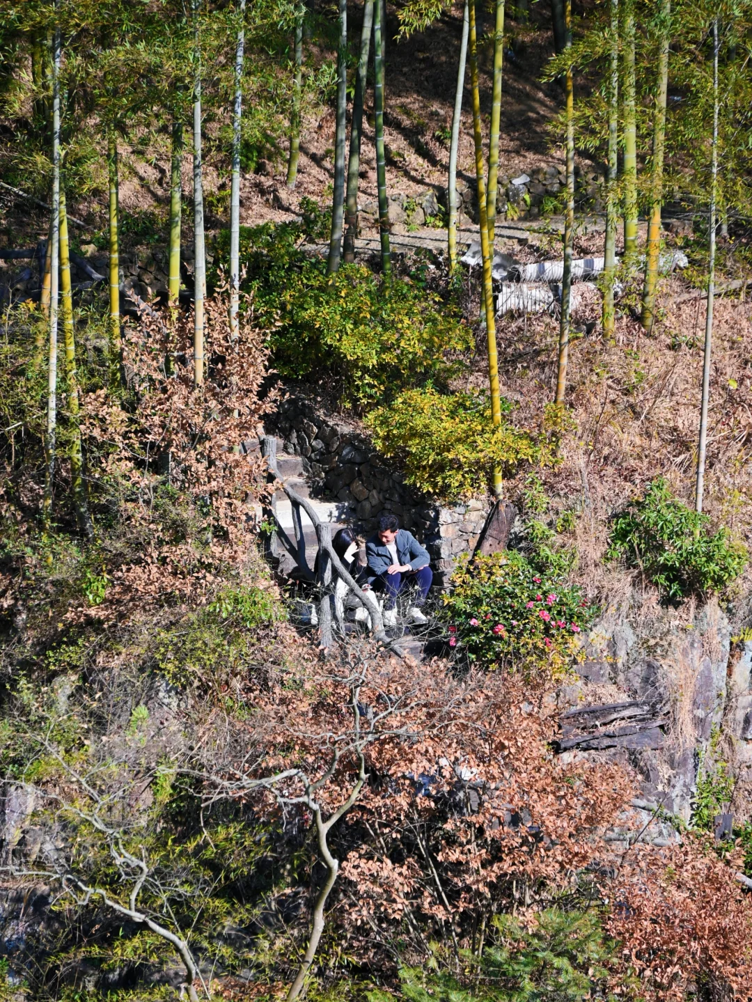 瑞士乡村？这是宁波1h直达的免费小众景点呀