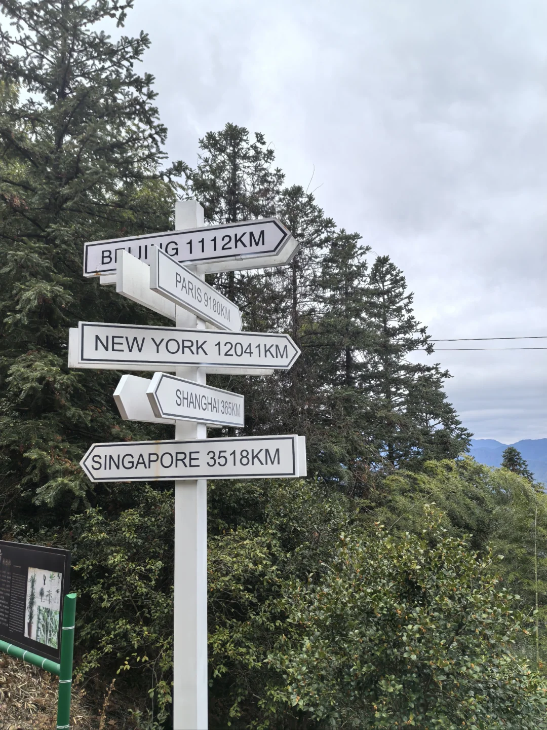 淡季游安徽黟县木坑竹海承包整座山