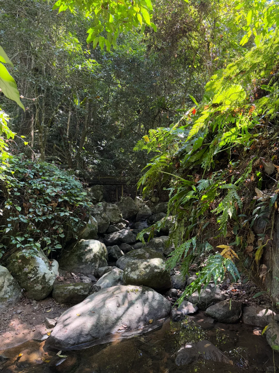 海南中线遛娃：琼中+五指山